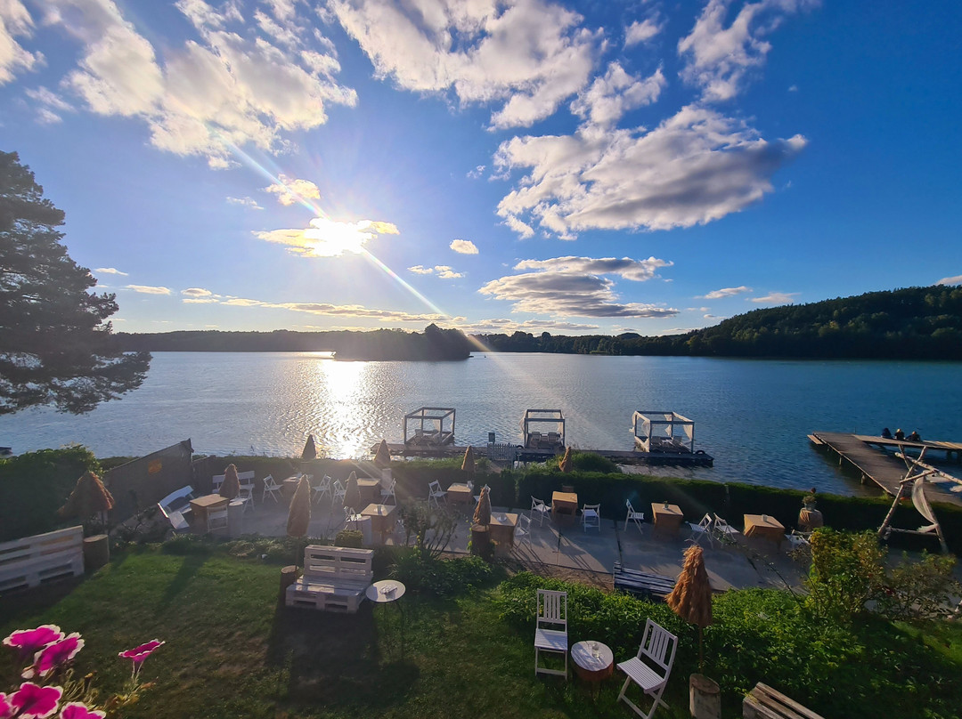 Adler Medical Spa主图