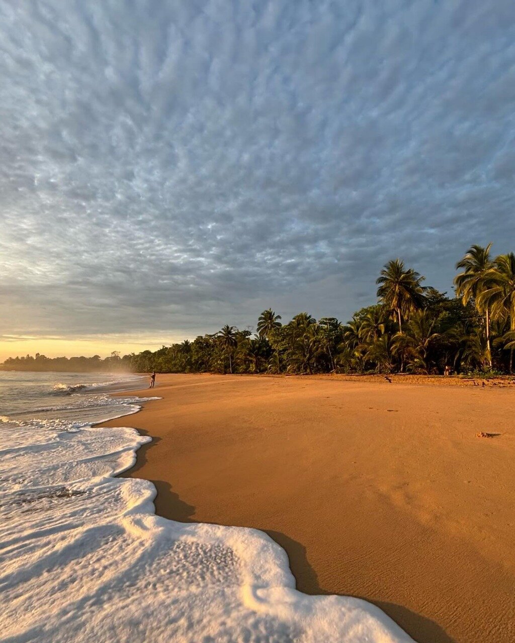 Bluff Beach Retreat-泳池