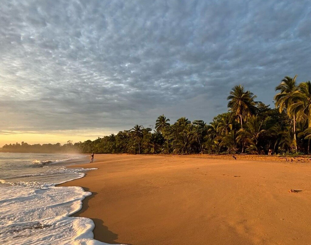 Bluff Beach Retreat主图