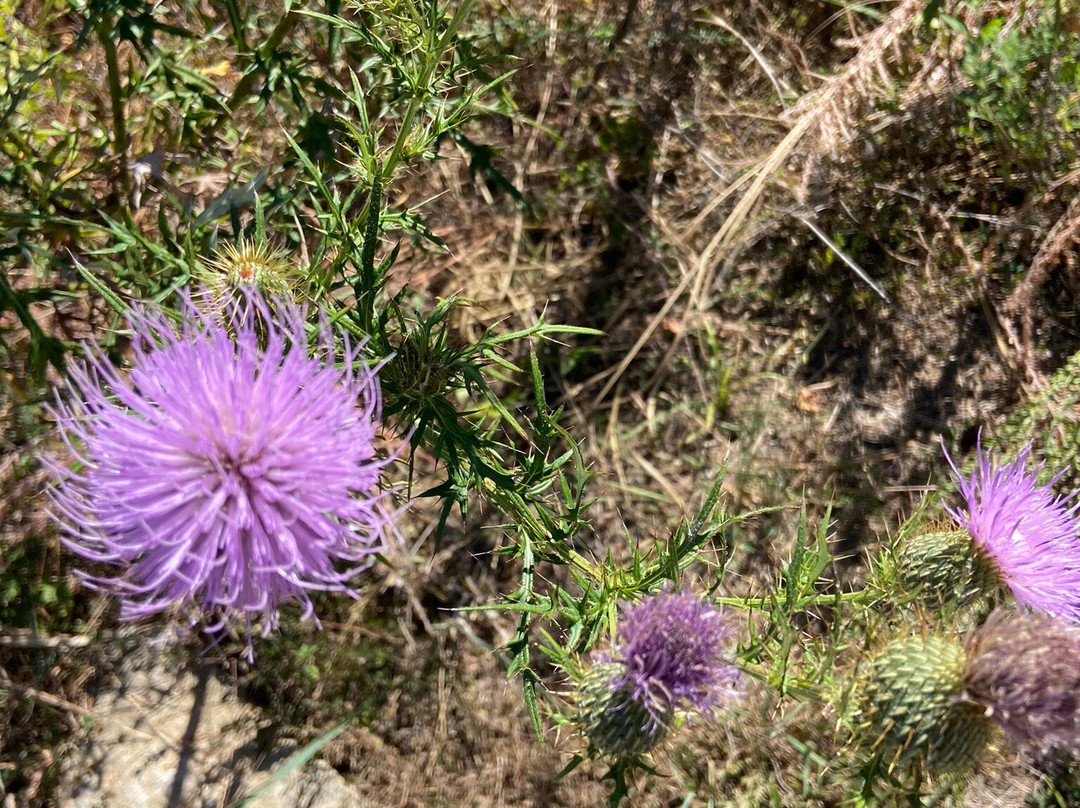 Raven Run Nature Sanctuary-列克星敦必去景点