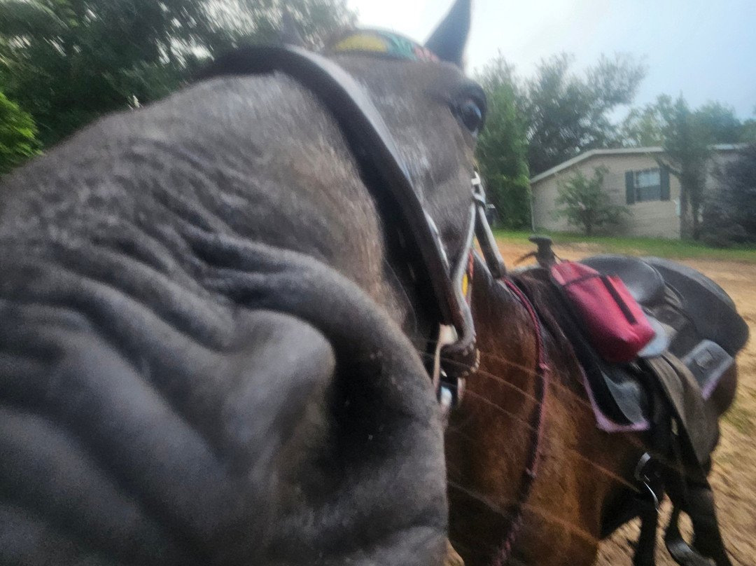 Sunshine Riding Trails - Day Tours-巴拿马城海滩必去景点