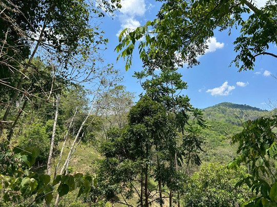 Armue Tour-清莱必去景点