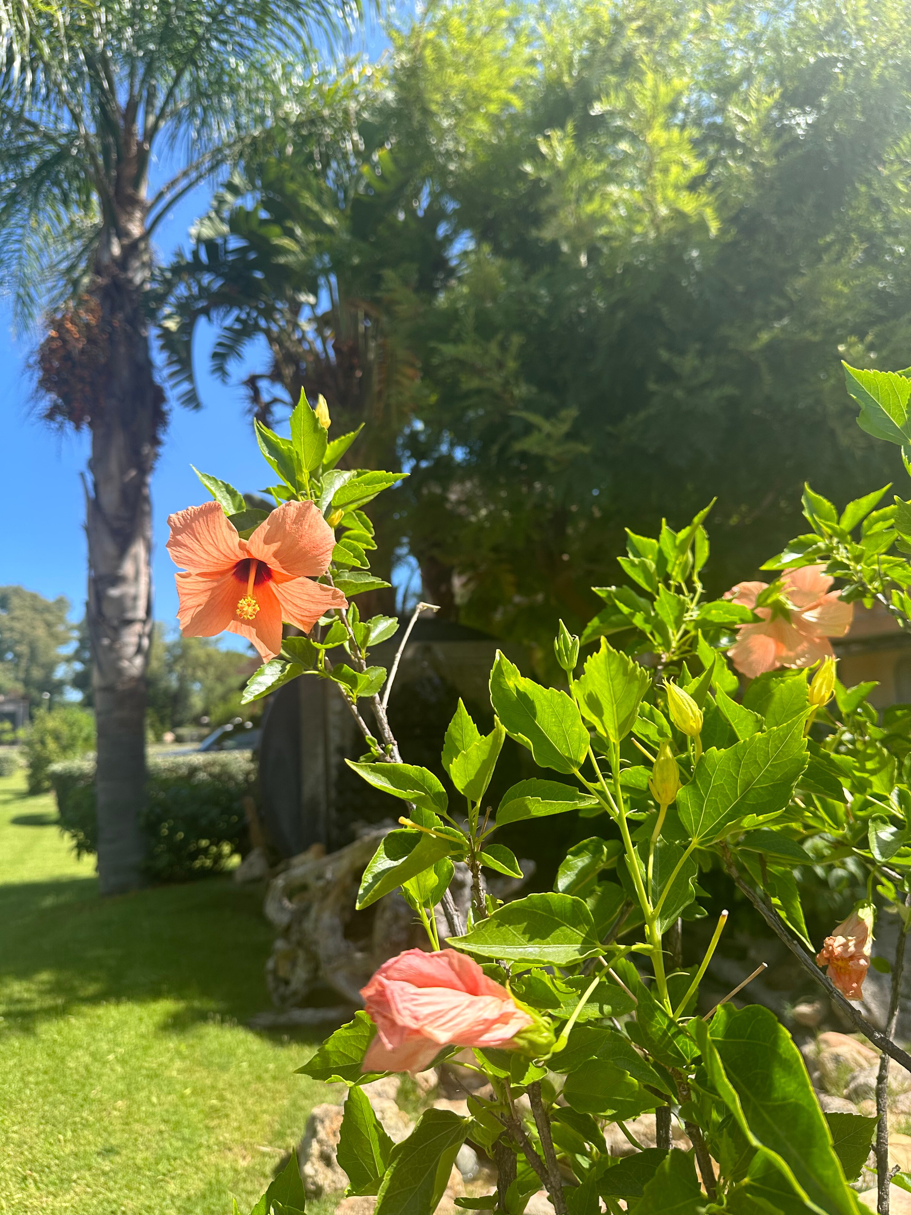 La Villa Del Re-浴室