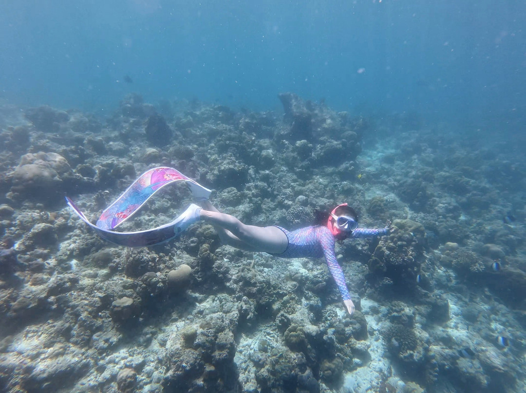 Dive Butler Amilla-芭环礁必去景点