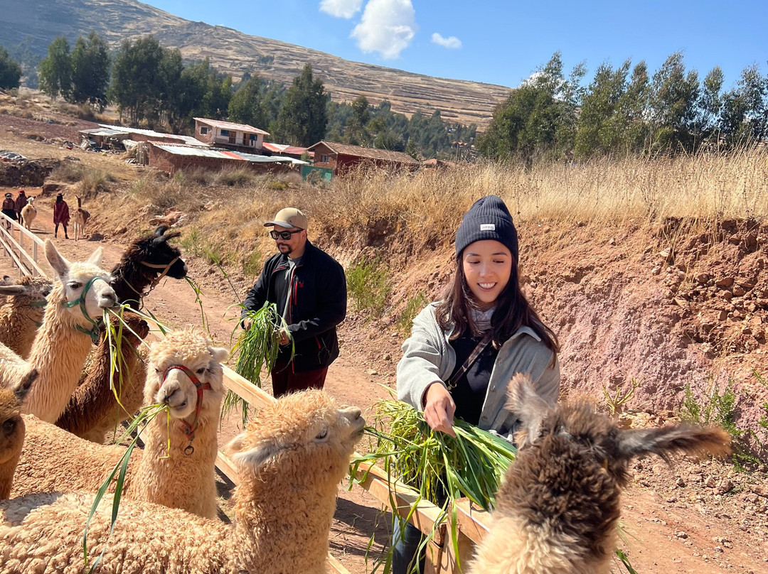 Andean Colors-乌鲁班巴必去景点