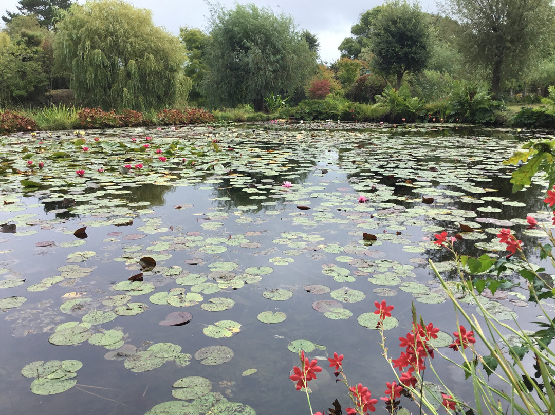 Bennetts Water Gardens-Chickerell必去景点