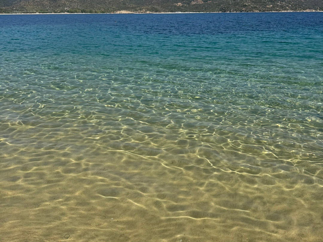 Tourkolimnionas Beach-Sykia必去景点