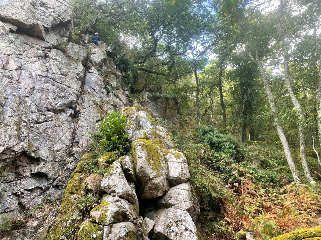 Rock and Moor