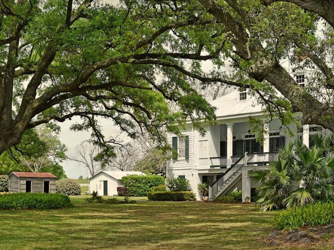 St. Joseph & Felicity Plantation-瓦切里必去景点
