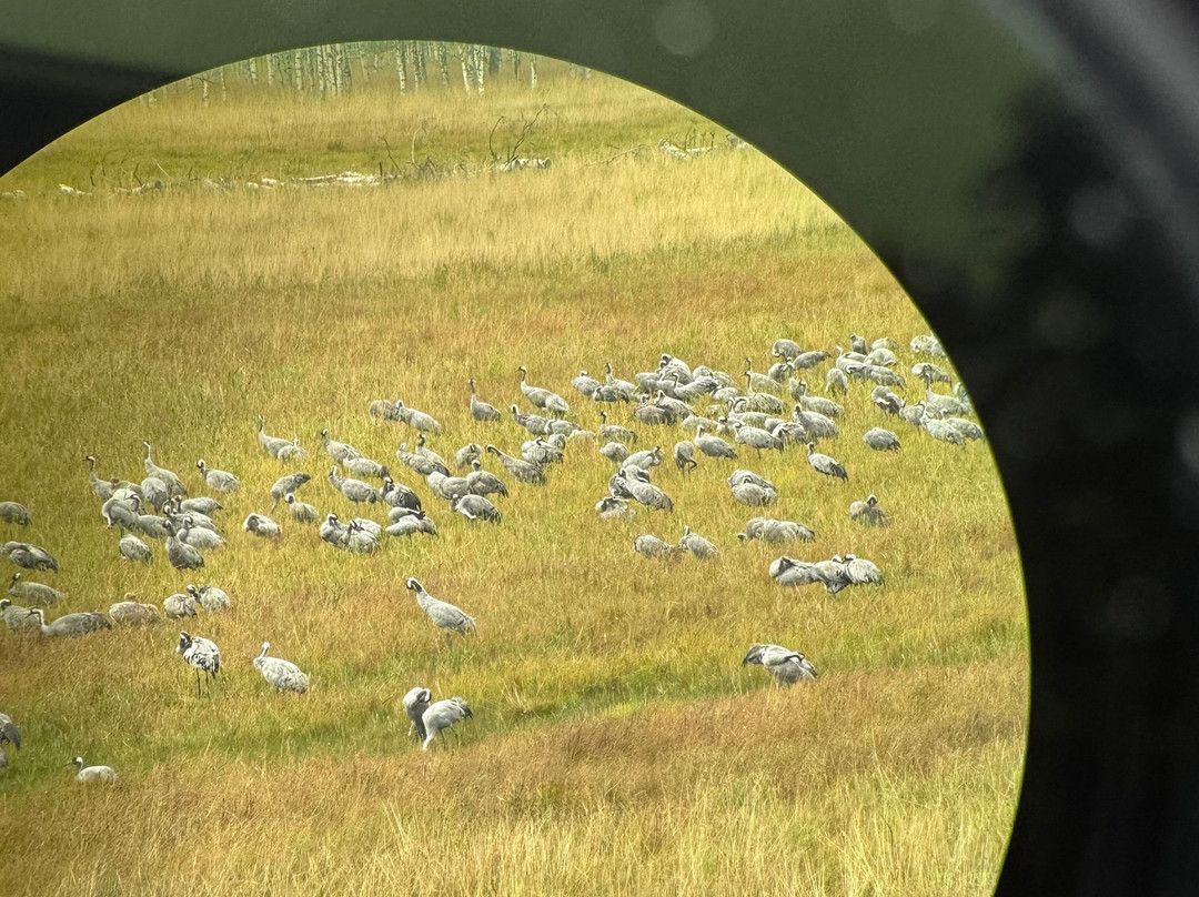 Nature tours in Helsinki region-Kirkkonummi必去景点