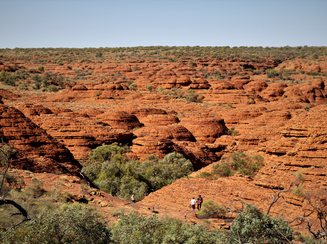 Kings Canyon Rim walk-Petermann必去景点