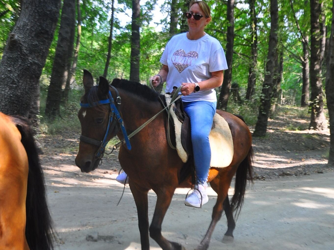Hamish McTurk-Tours-费特希耶必去景点