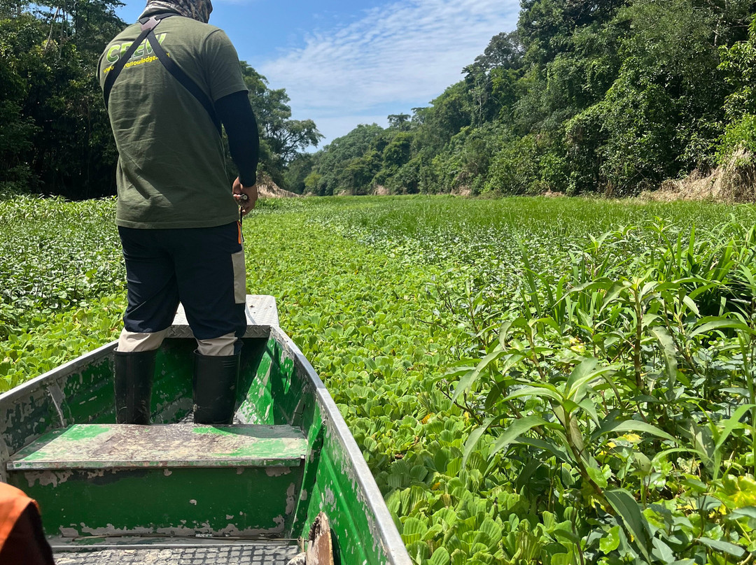 Curassow Amazon Lodge-伊基托斯必去景点
