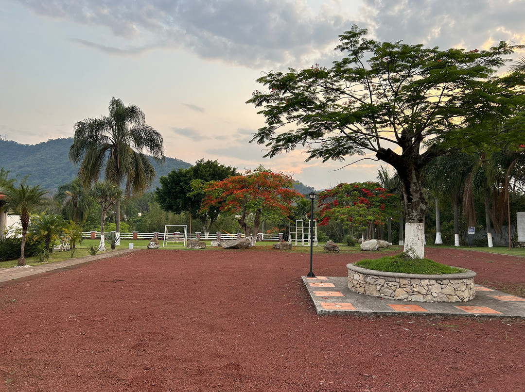 Desayunos Finca Castillo