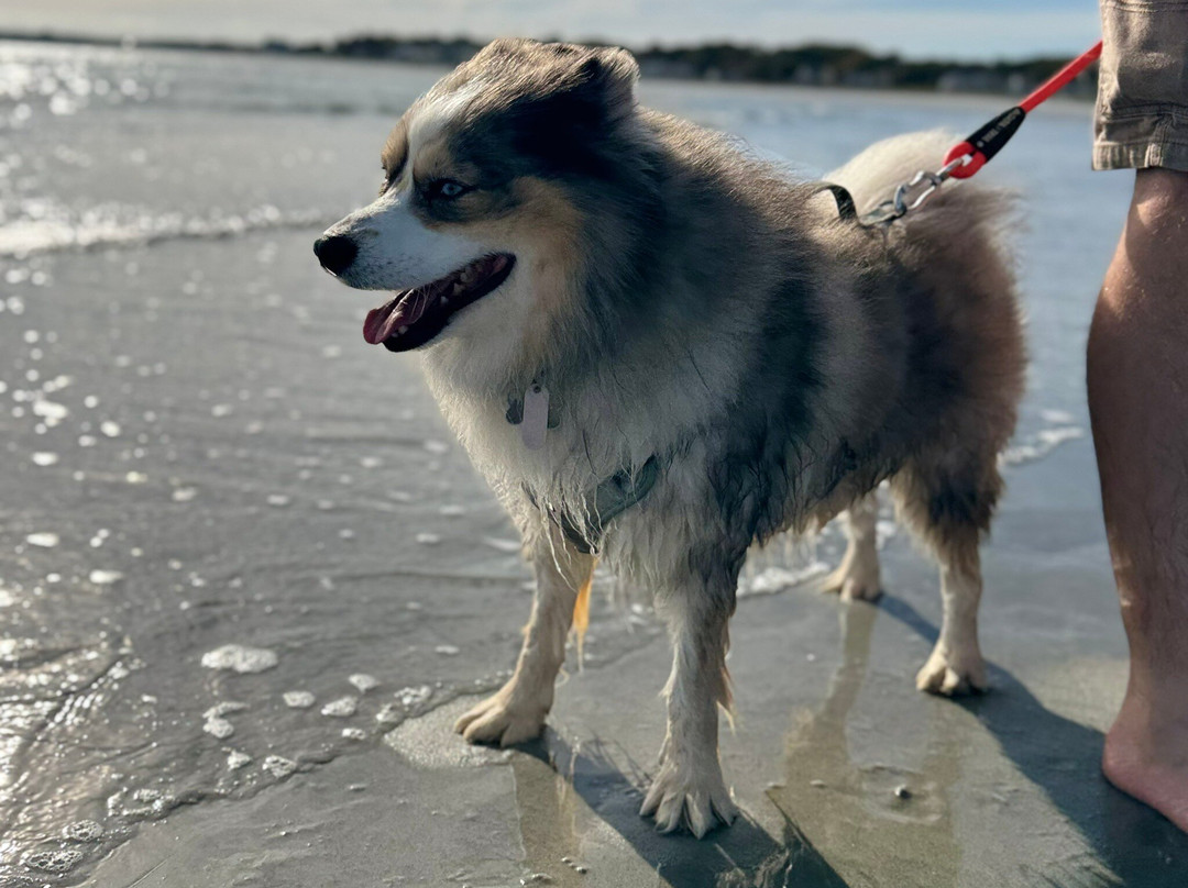 Anchor Inn & Cottages主图