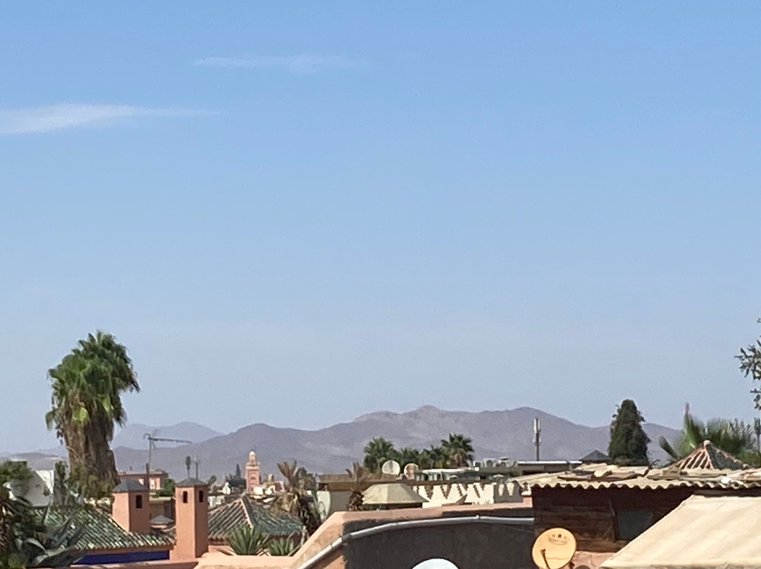 Museum Of Moroccan Elegance-马拉喀什必去景点