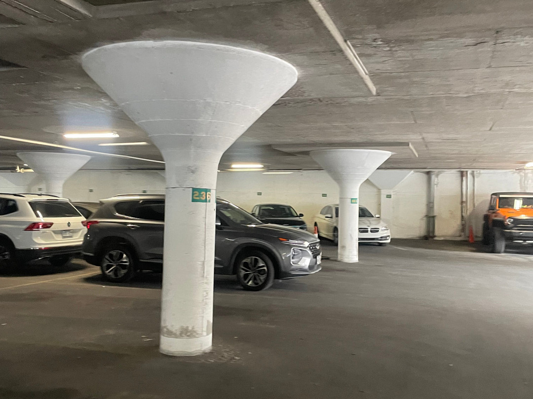 The Mayo Hotel主图