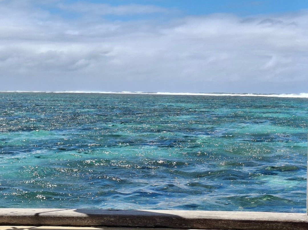 Totof Tours Mauritius-蓝湾必去景点