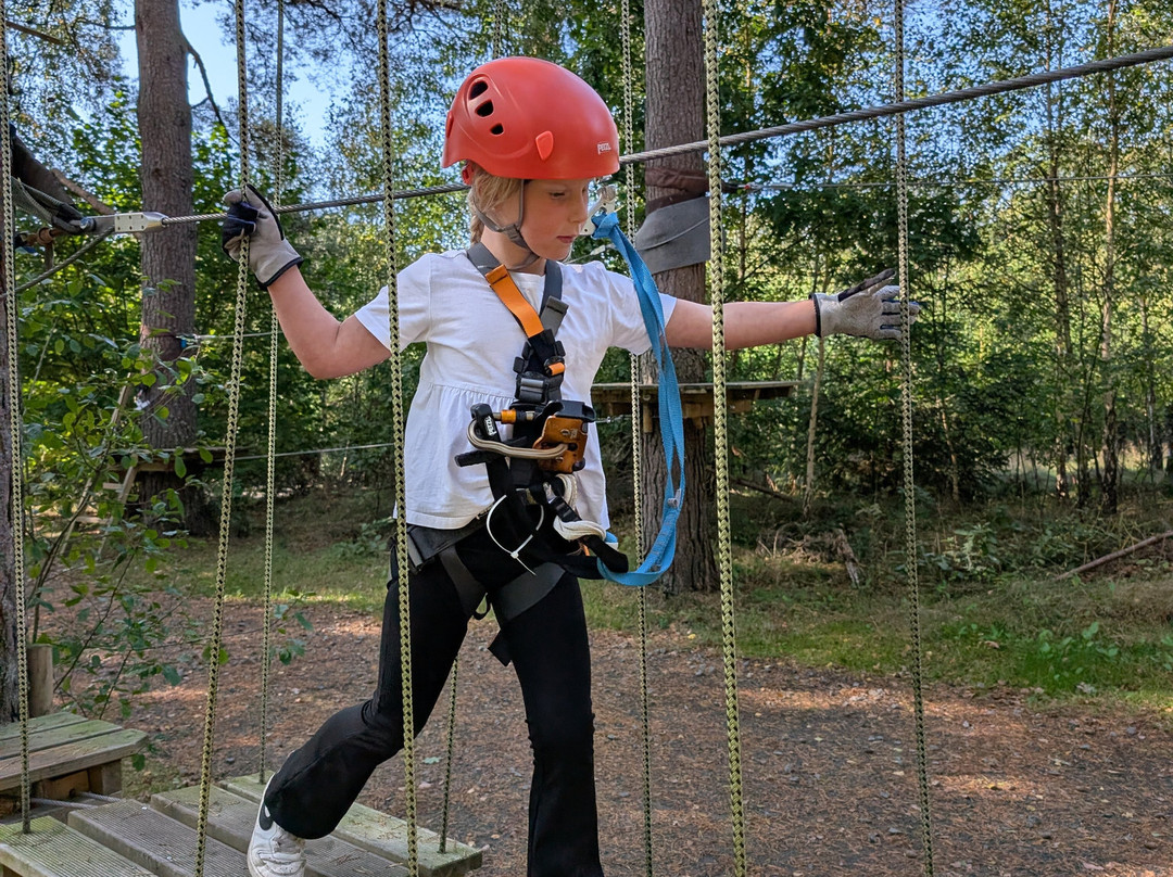 Multilevel Ziplines & Klätterpark-Hassleholm必去景点