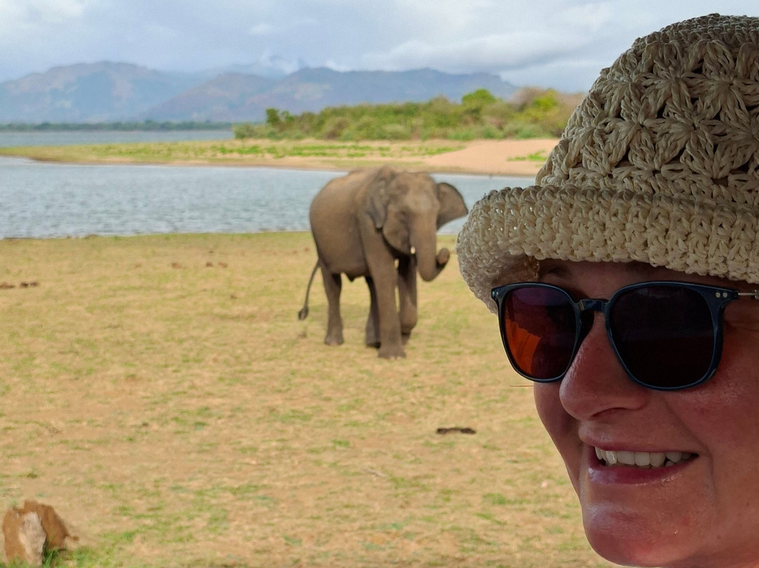 Tony Sri Lanka Tours-亚洪加拉必去景点