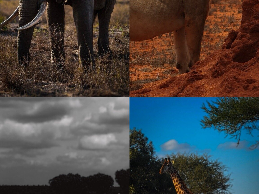 Malik Safari-马林地必去景点