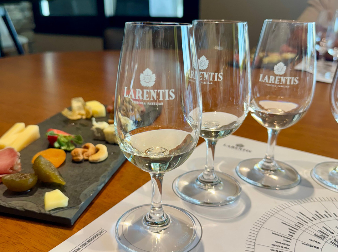 Vinhos Larentis-本图贡萨尔维斯必去景点