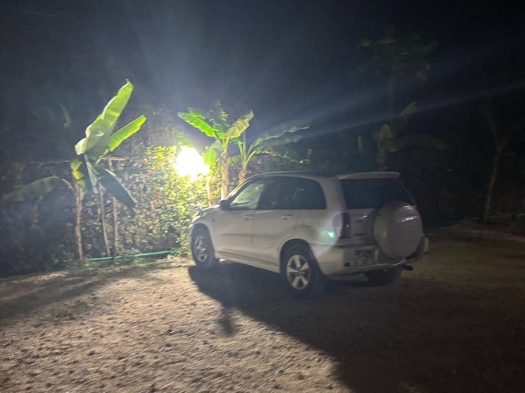 Zanzibar Car Hire & Expeditions-桑给巴尔市必去景点