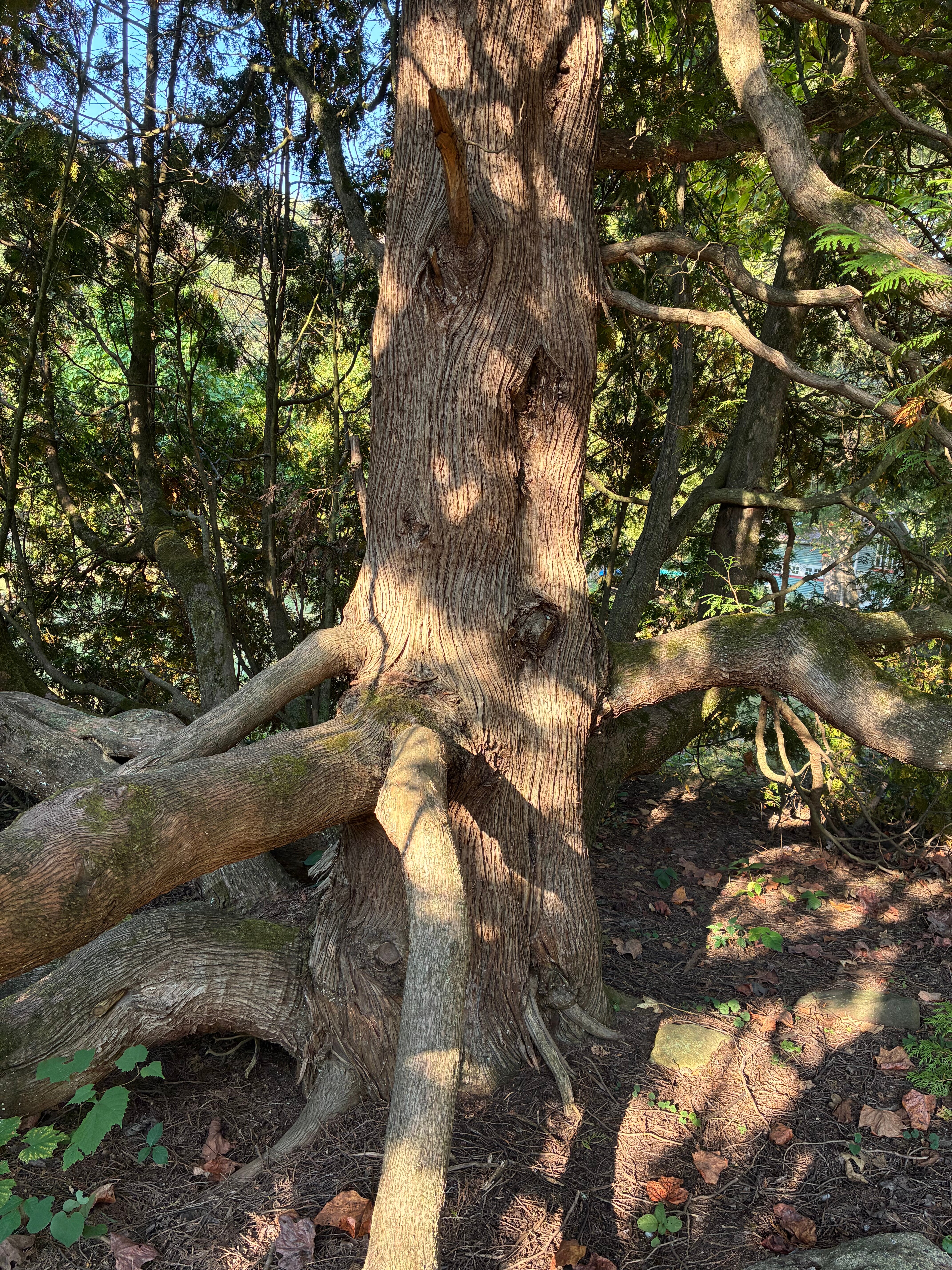 Paddler's Lane Retreat-浴室