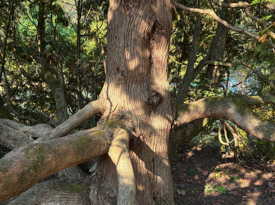 Paddler's Lane Retreat主图