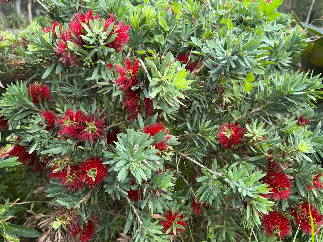 阿维亚拉公园凯悦酒店主图