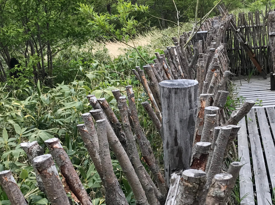 Zharkiye Vody  Hot Spring-Reydovo必去景点