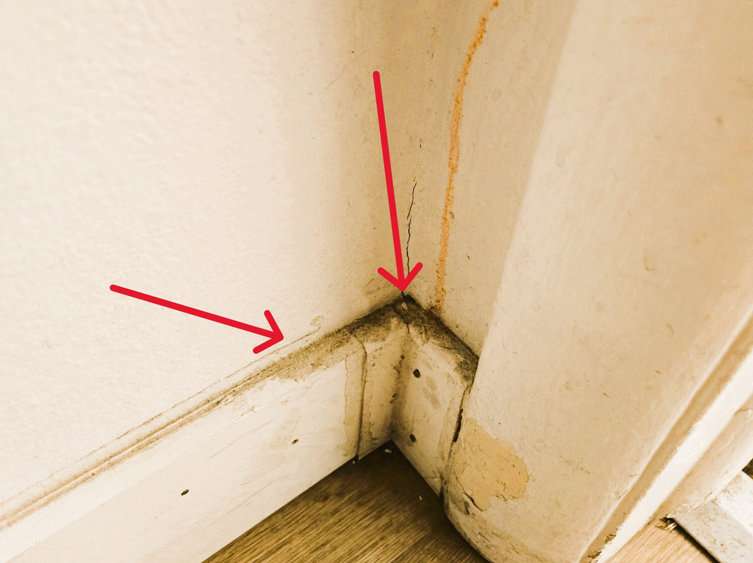 Country West Motel主图