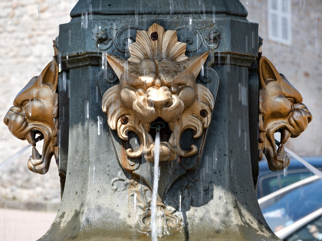 La Fontaine aux lions-Meymac必去景点