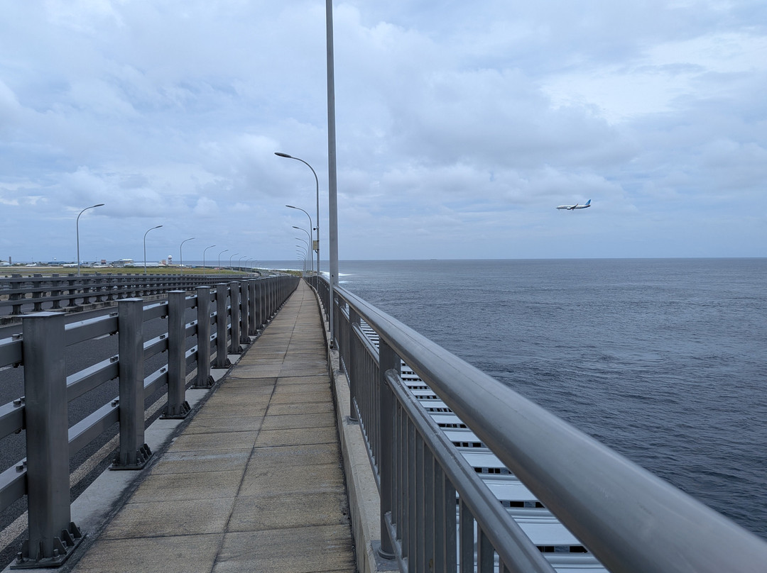 Sinamale Bridge-马累必去景点