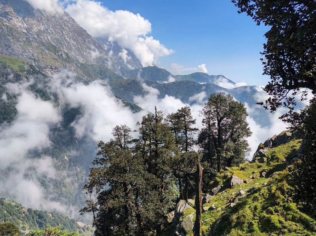 Sarvaguna Yoga Dharamsala-达兰萨拉必去景点