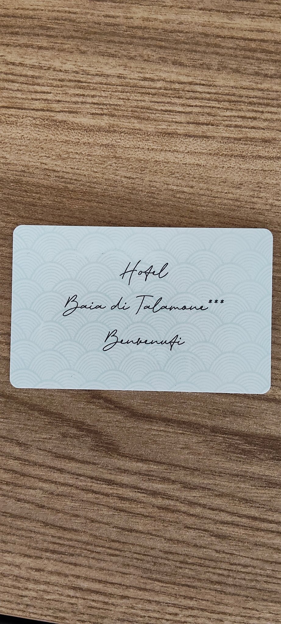 塔拉莫海湾-官方