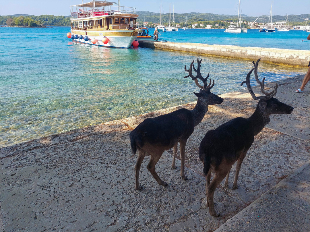 Korcula Waterfront Accommodation主图