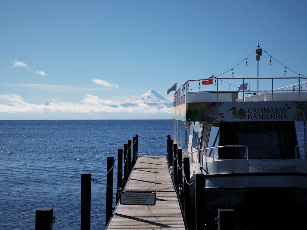 Catamaran Bandurria-Frutillar必去景点