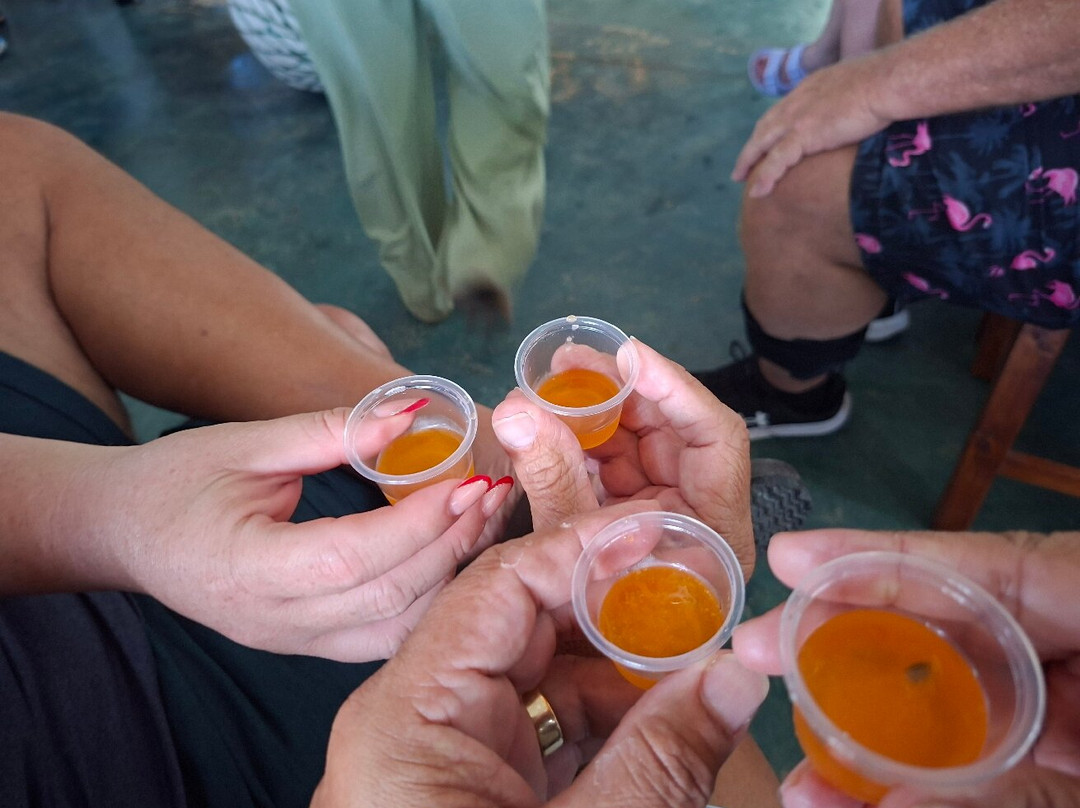 Tripping cool-考祖梅必去景点