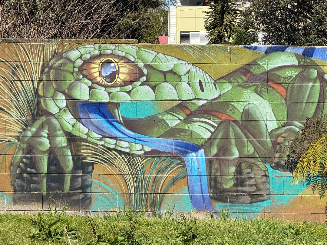 Street Art Walk - by Street Art Murals Australia-卡通巴必去景点