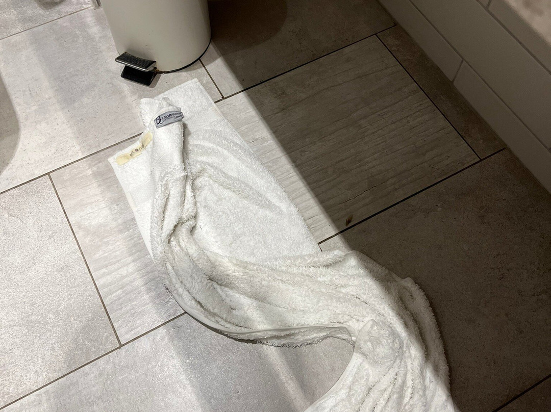 The Swan at Streatley主图