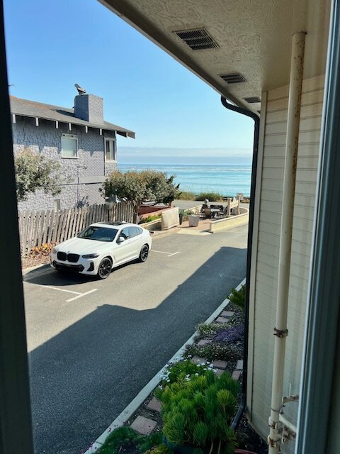 蓝海豚酒店-酒店景观