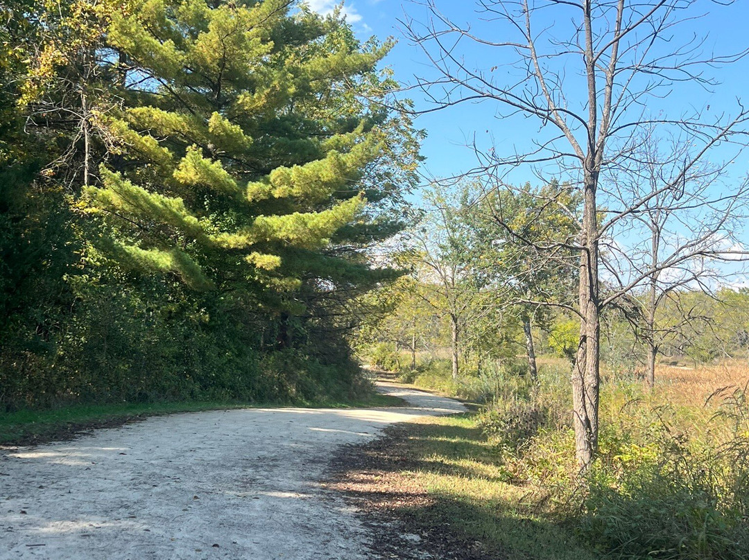 McDonald Woods Forest Preserve-Lake Villa必去景点