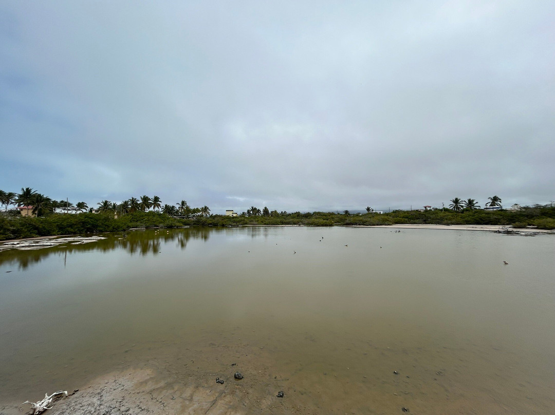 Laguna Salinas-维里亚米尔港必去景点