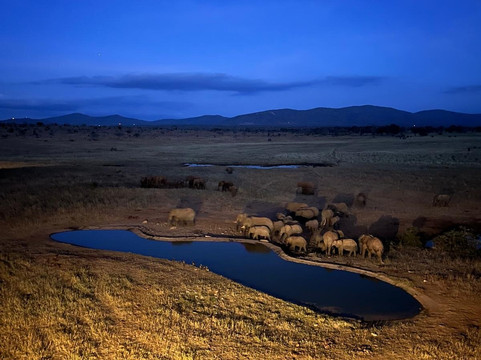Magical Lions Safaris-迪亚尼必去景点