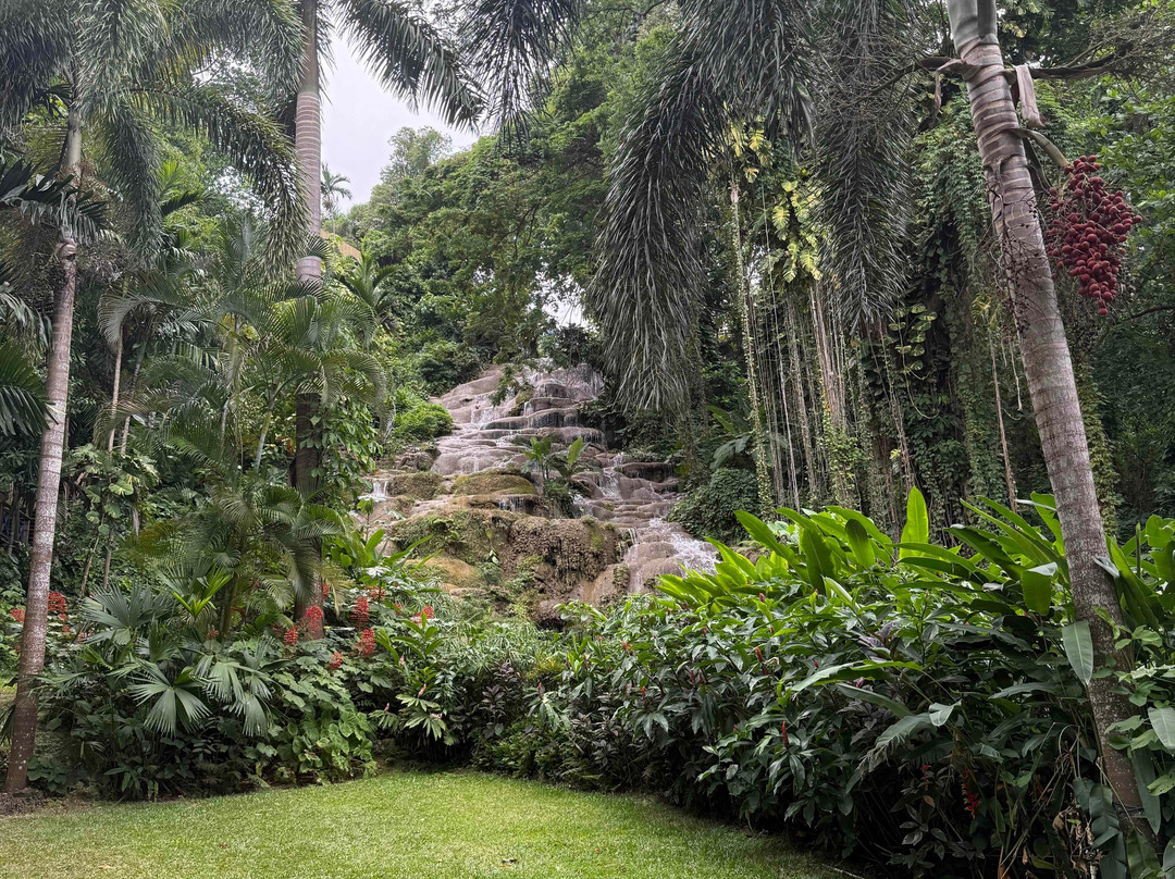 Konoko Falls & Park-奥乔里奥斯必去景点