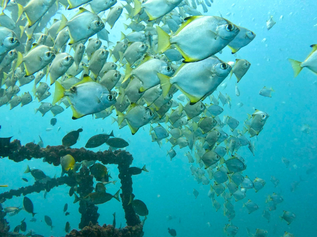 Scuba World-穆鲁拉巴必去景点