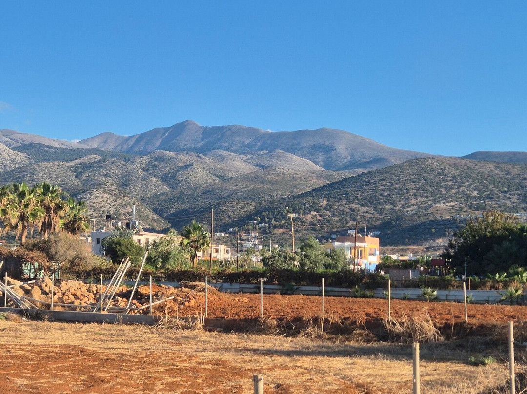 Primavera Beach Studios & Apartments主图