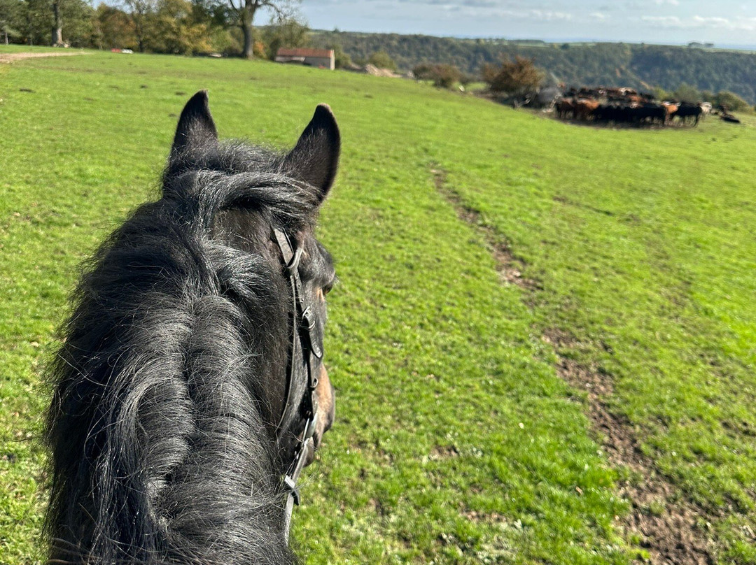 Bilsdale Riding Centre-Hawnby必去景点