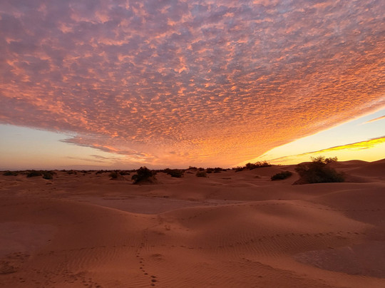 Sahara Surprise-迈哈米德必去景点